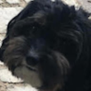 Meet your Posher, Lorraine